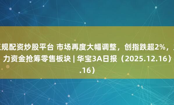 正规配资炒股平台 市场再度大幅调整,创指跌超2%,主力资金抢筹零售板块 | 华宝3A日报(2025.12.16)